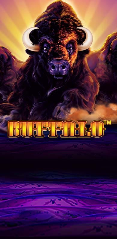Buffalo in Classics