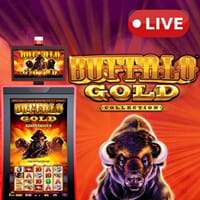 Buffalo Gold Collection in Featured
