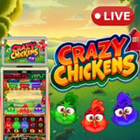 Crazy Chickens in Featured