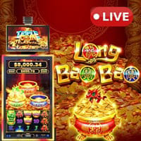Triple Coin Treasures - Long Bao Bao in All