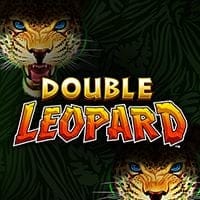 Double Leopard in Top_Everi