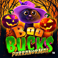 Boo Bucks Purranormal in New Games