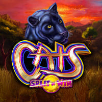 Cats Split 'N' Win in LatestReleases