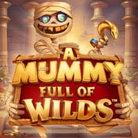 A Mummy Full of Wilds in Mummy