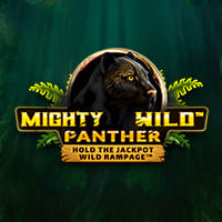 Mighty Wild Panther in New Games