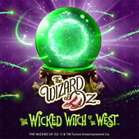 The Wizard of Oz The Wicked Witch of the West in Favorites