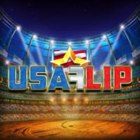 USA Flip in MDW
