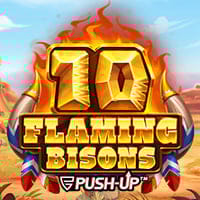 10 Flaming Bisons in Push_cat