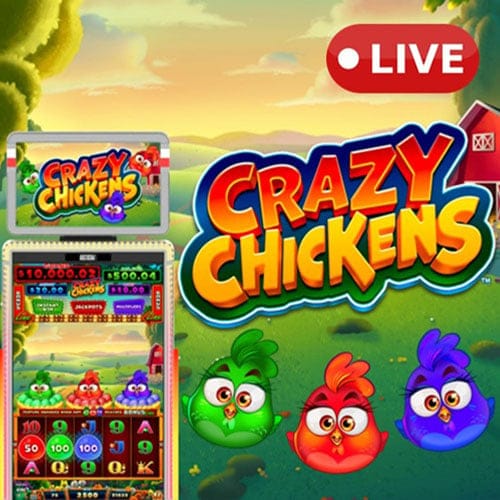 Crazy Chickens in Featured