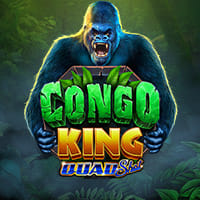 Congo King in Ainsworth