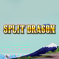 Split Dragon in Top_High5